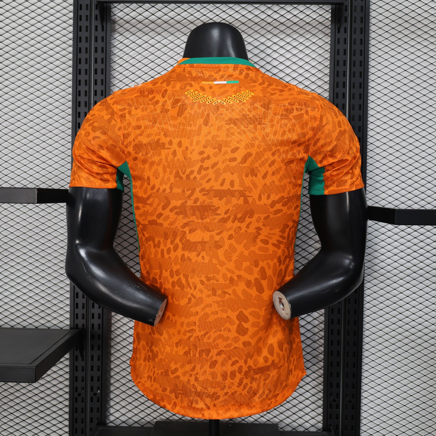 Ivory Coast H&A 2026