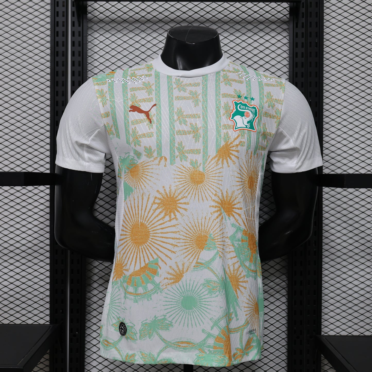Ivory Coast H&A 2026