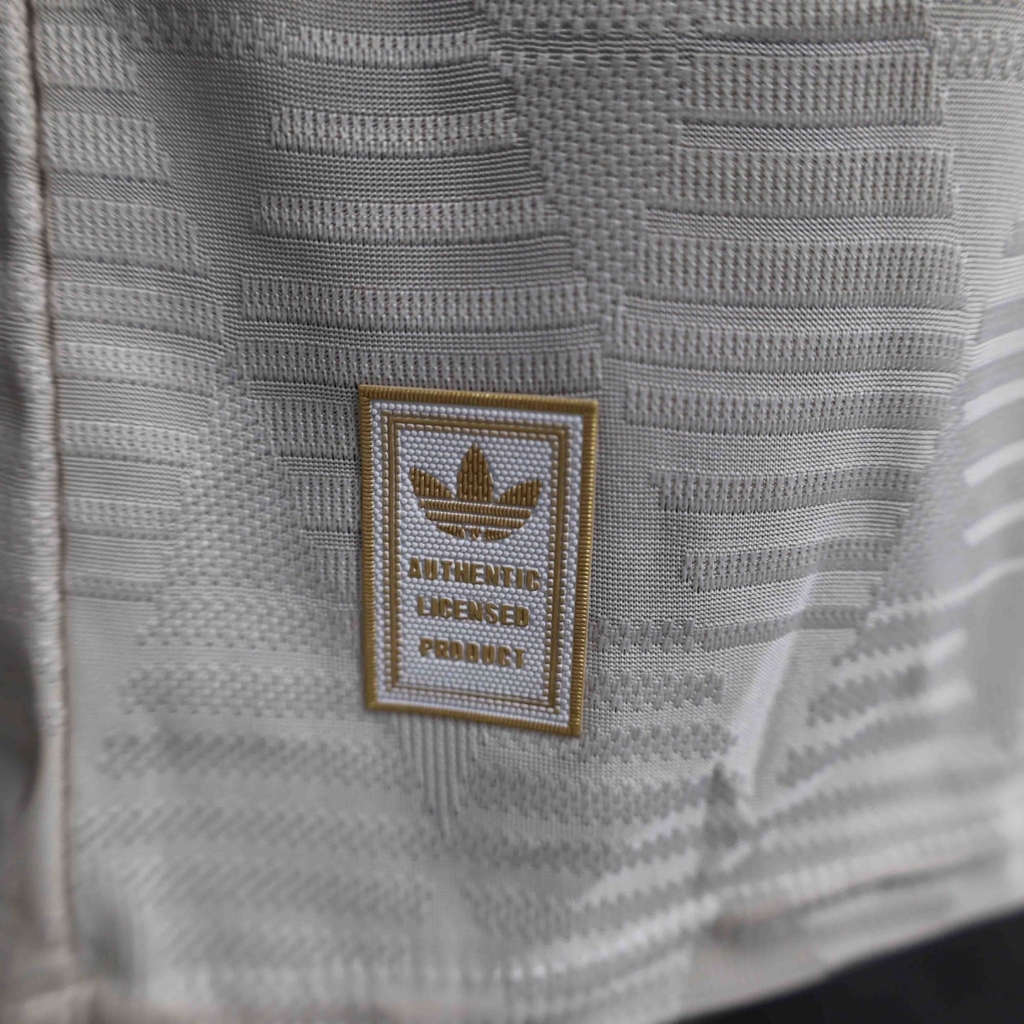 Bayern Munich Away 24/25