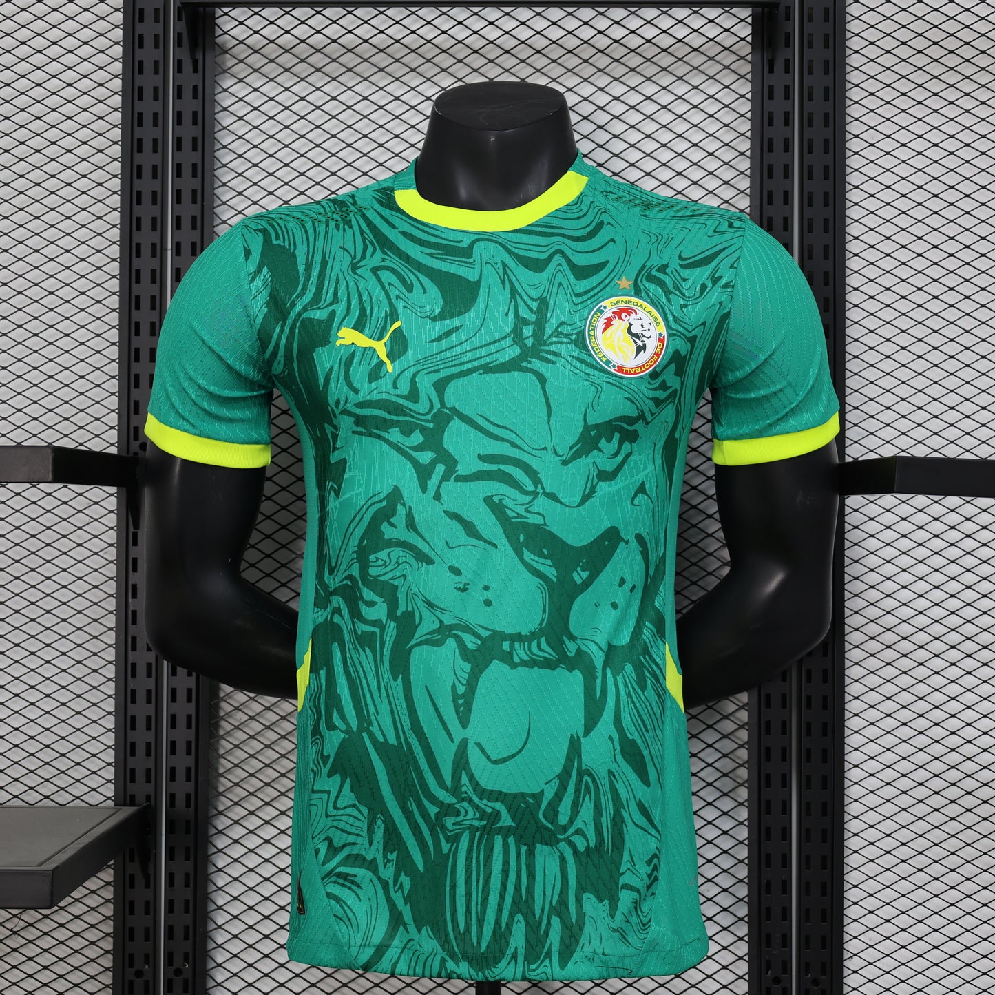 Senegal Home 25/26