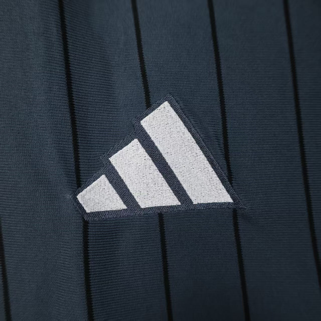 Baseball Bayern Munich 25/26