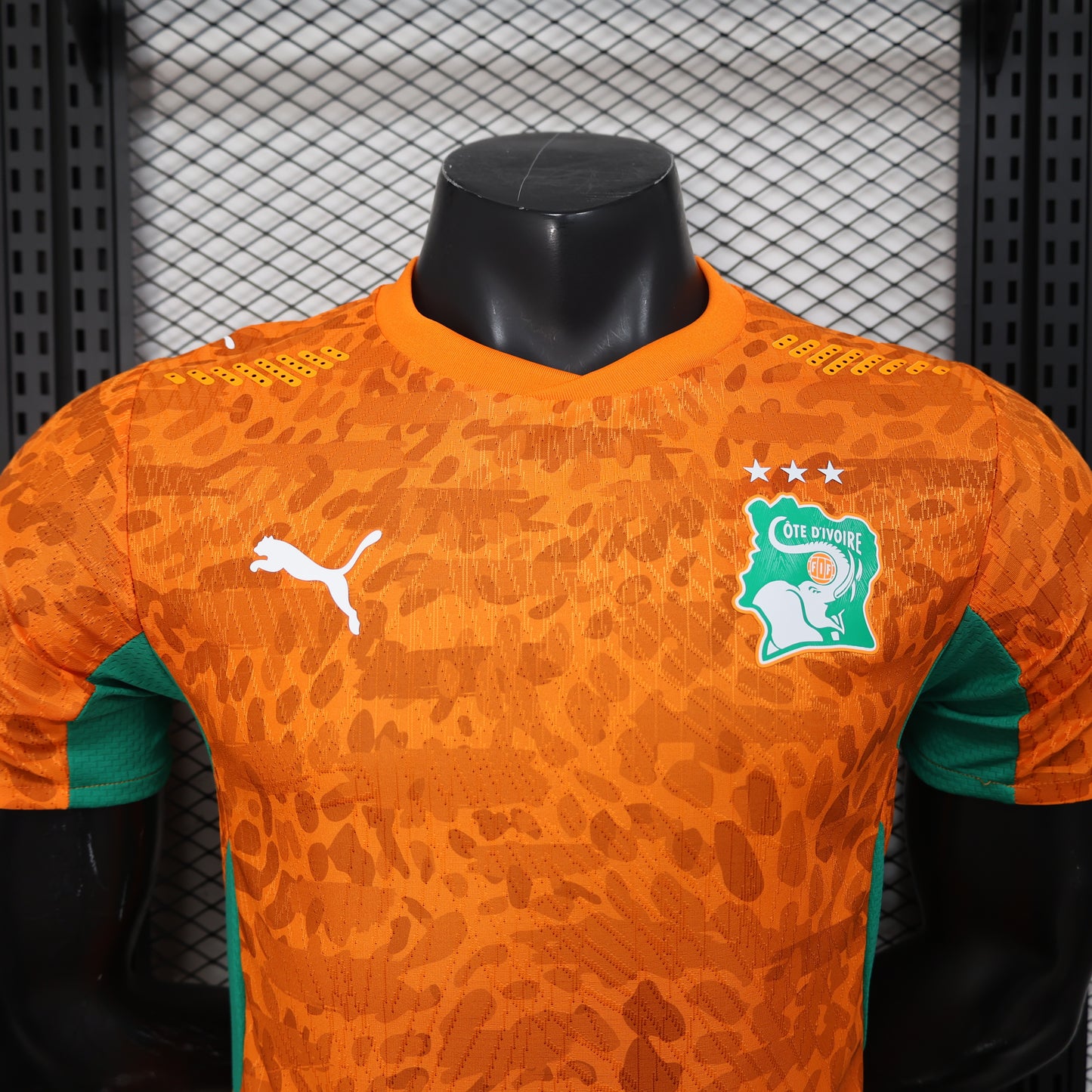 Ivory Coast H&A 2026