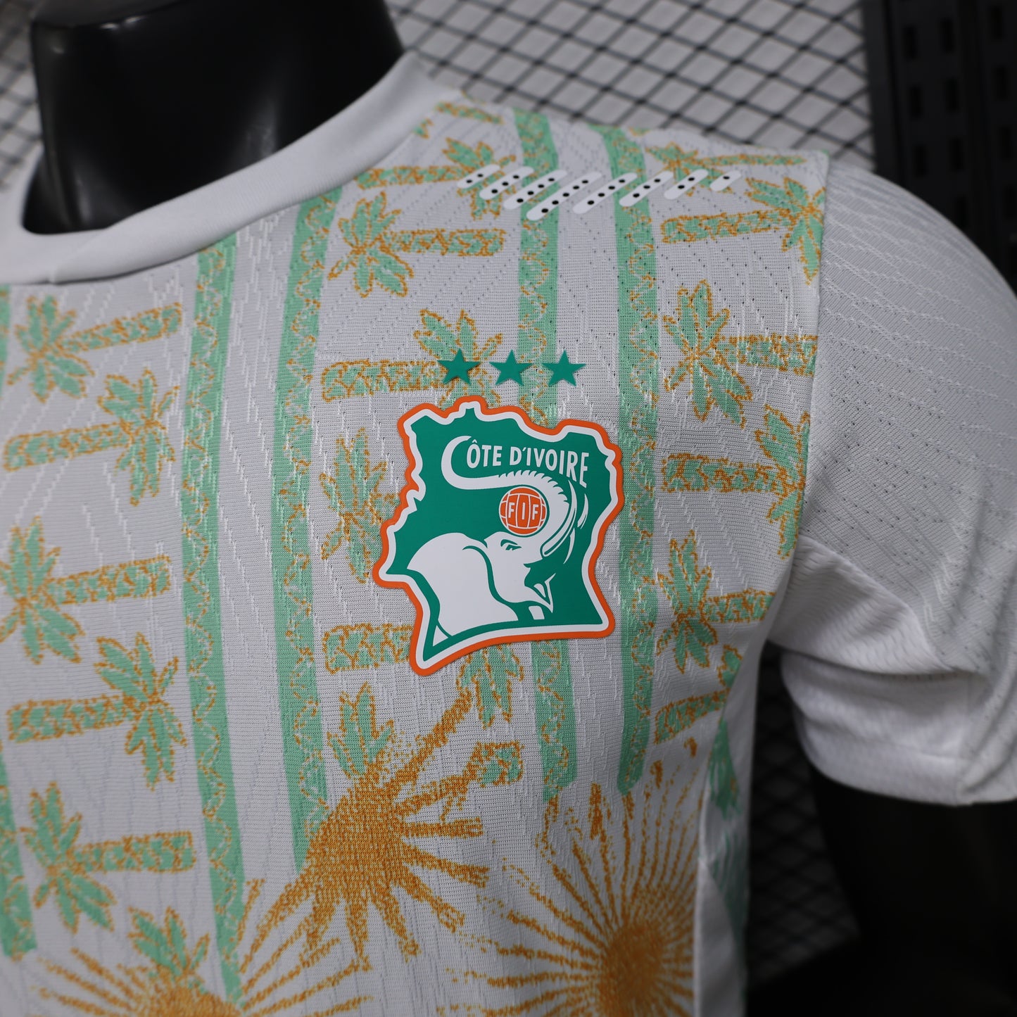 Ivory Coast H&A 2026