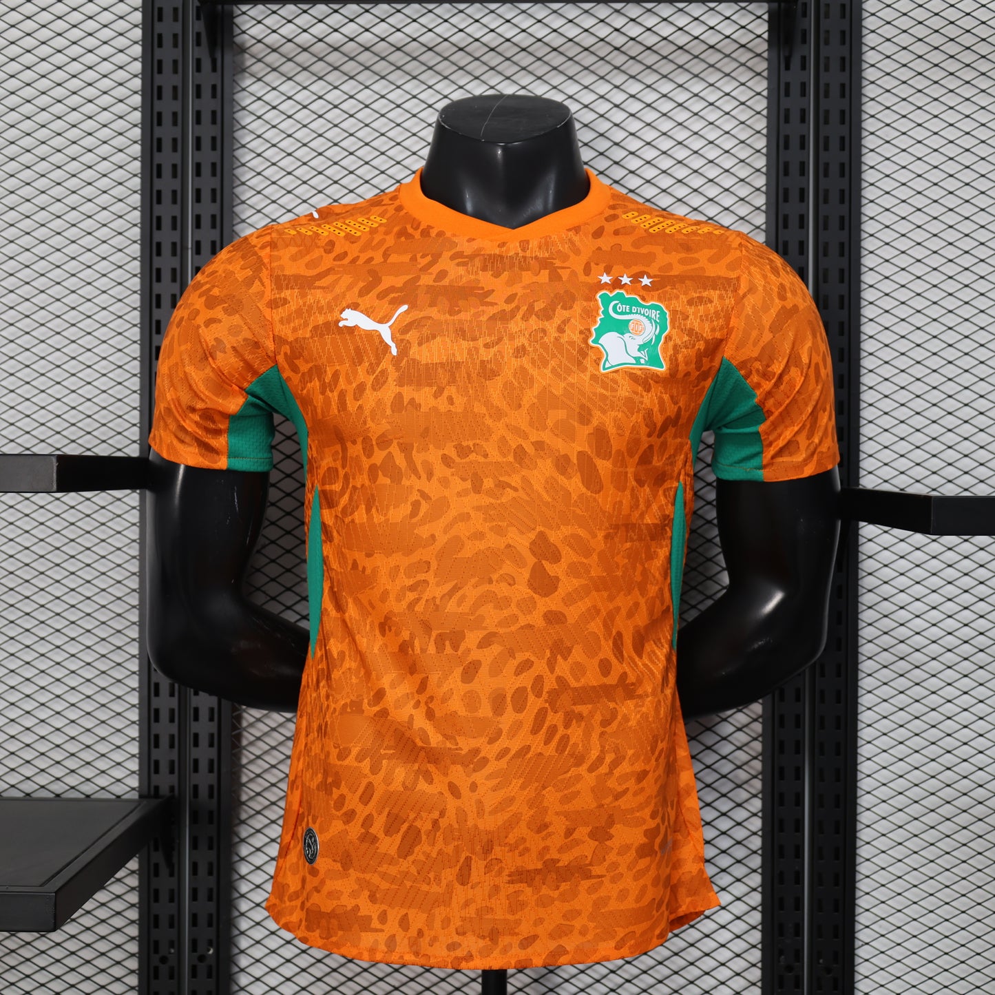 Ivory Coast H&A 2026