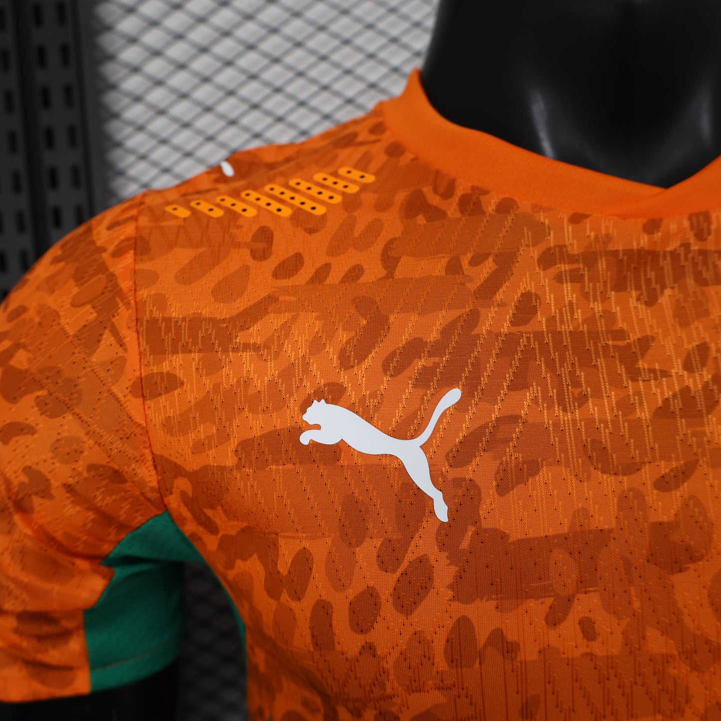 Ivory Coast H&A 2026