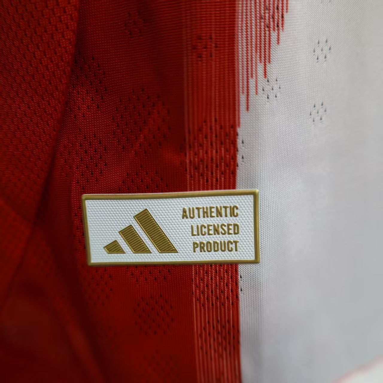 Bayern Munich Kit 25/26